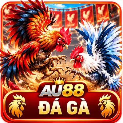 Đá gà au88 đá gà thomo c1
